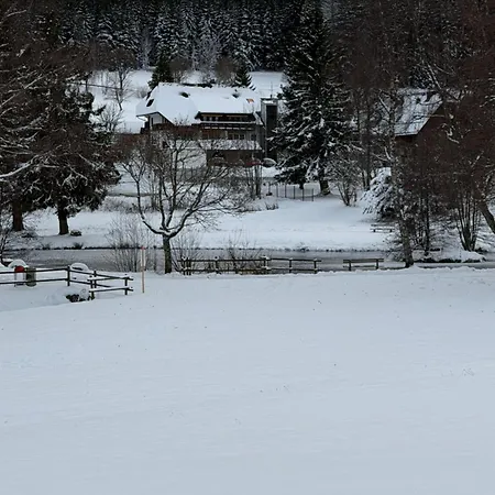 Paradiso,78141schönwald,schwarzwald,1100müm Taunusstrasse 19f, Mit Pool Und Sauna