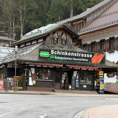 Apartment Paradiso,78141schönwald,schwarzwald,1100müm Taunusstrasse 19f, Mit Pool Und Sauna *